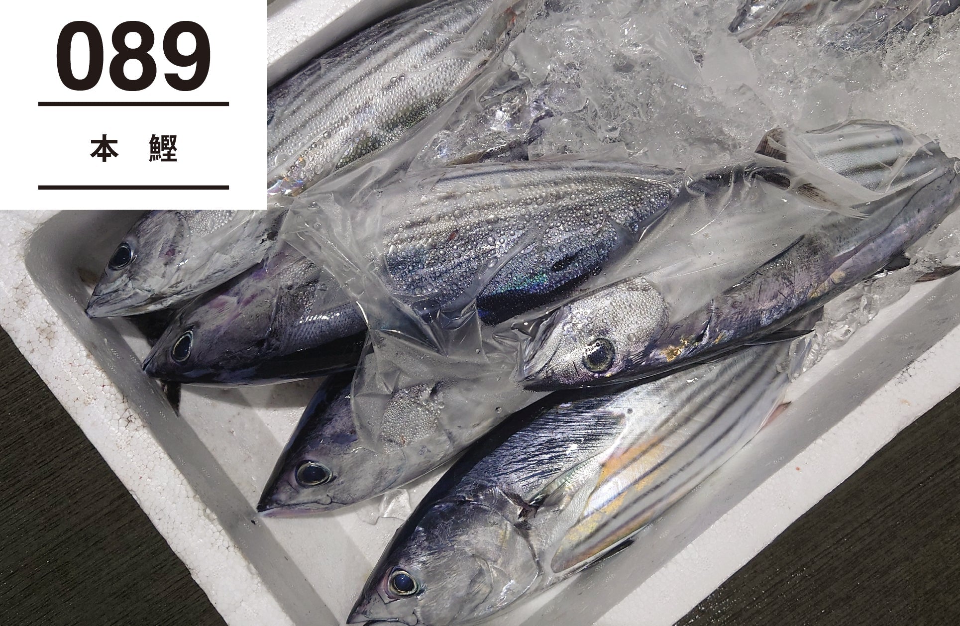 089___w1920_1929x.jpg?v=1759995845