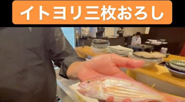 動画うおくまメシ　イトヨリ三枚おろし