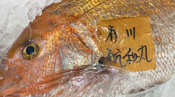 221 真鯛