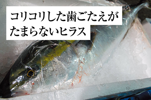 おさかなサブスク （定期購入プラン）