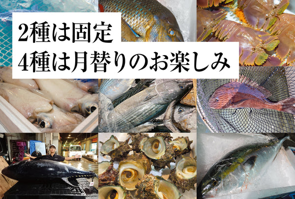 おさかなサブスク （定期購入プラン）
